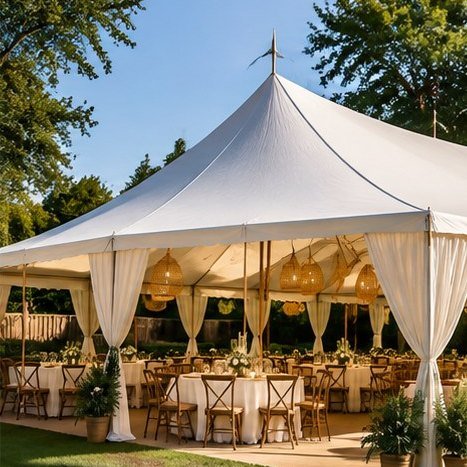Shaded Party Package (50 guests, 20' x 30' tent)